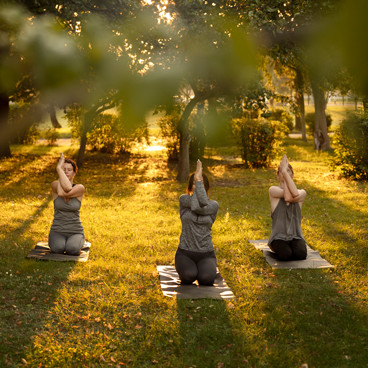 Müzede Yoga