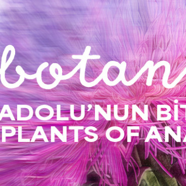 BOTANICA: Plants of Anatolia