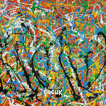 Jackson Pollock: Lekelerden Hikayeler