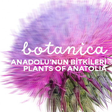 BOTANICA: Anadolu'nun Bitkileri